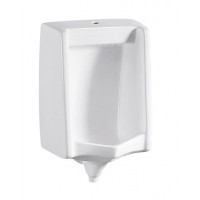 Water-saving toilet automatic urinal flusher